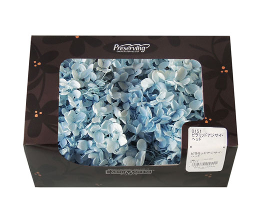 大地農園・ピラミッドアジサイ・ブルーパープル | プリザーブド