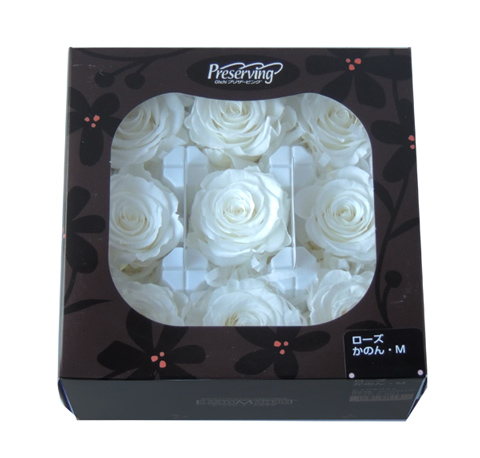 大地農園・かのんM・ピュアホワイト9輪・アウトレット | プリザーブド