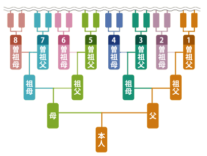 家系図を作るには | 家系図について | 株式会社亘徳
