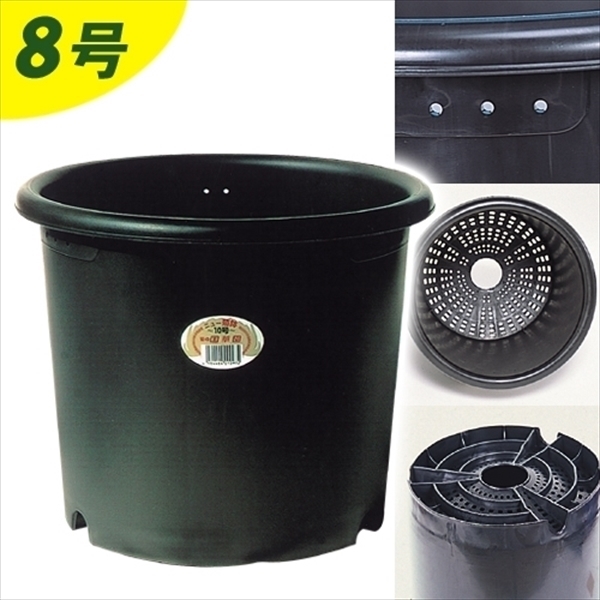 国華園オンラインショップ / ニュー菊鉢8号 1個