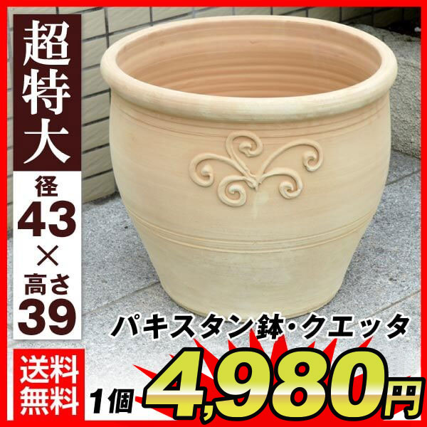 国華園オンラインショップ / パキスタン鉢・クエッタ 超特大