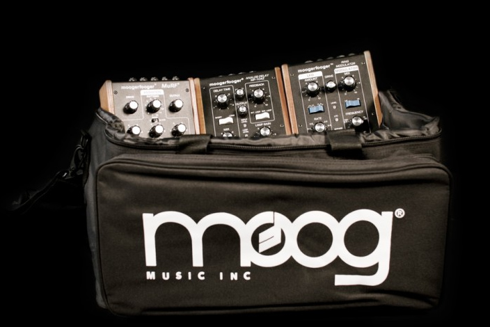Multi-Purpose Gig Bag – moog