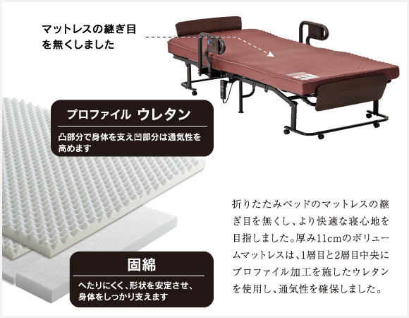 くつろぐベッド収納式電動リクライニングベッド AX-BE835