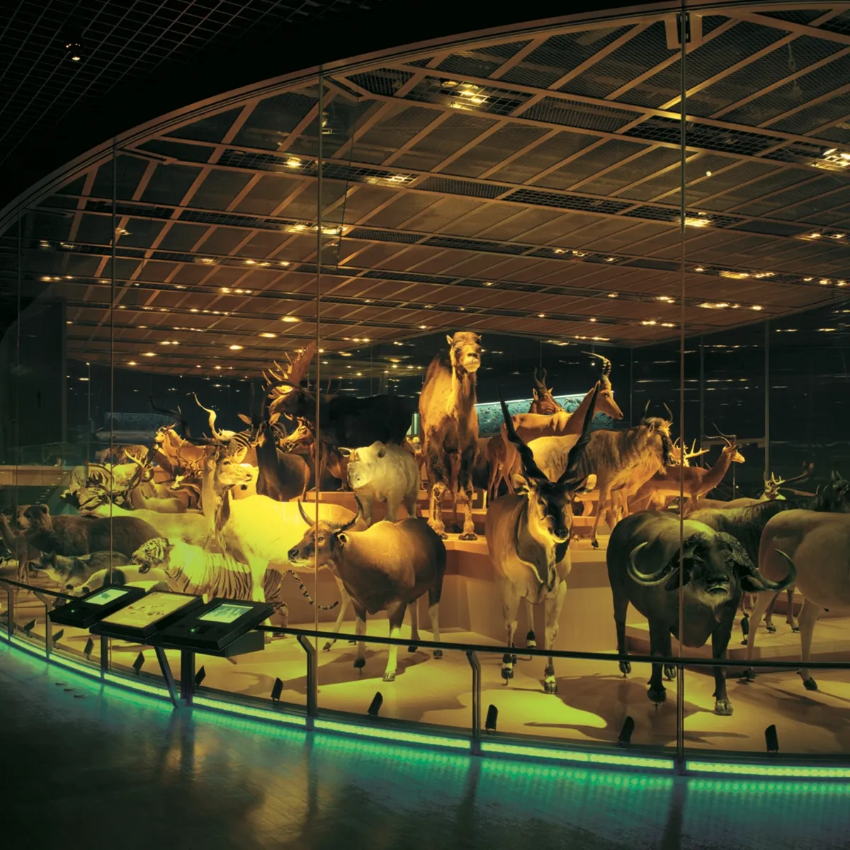 国立科学博物館 National Museum of Nature and Science,Tokyo