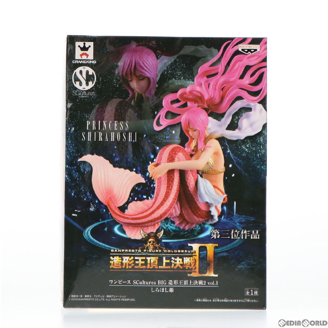 FIG]しらほし姫 ワンピース SCultures BIG 造形王頂上決戦2 vol.1 ONE