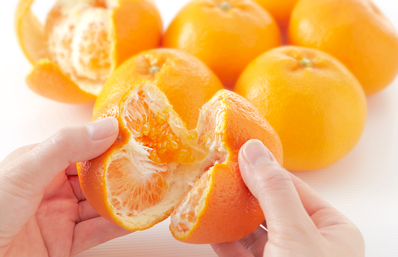 はるみ 1年生芽接ぎ【苗木】 | のま果樹園