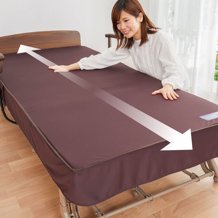 かかしさんのJA(農協)通信販売 / 電動リクライニングベッド AX24