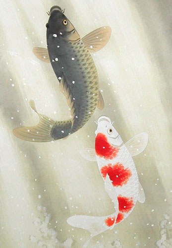 掛け軸 夫婦滝登り鯉 (出口華凰) 送料無料 【掛軸】【一間床・半間床