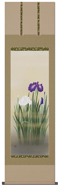 菖蒲 堀高泉 尺五立！ 夏 - 掛け軸（掛軸）販売通販なら掛け軸総本家