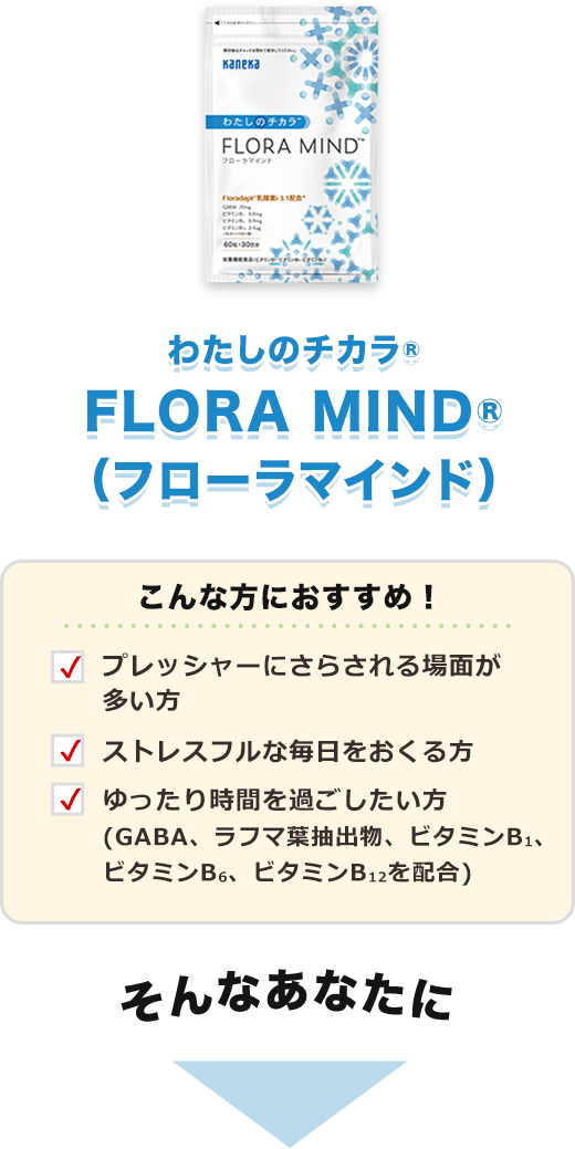 天地転世 ユムカアシュ 3コンセット 菌樹 天地転世 ユムカアシュ 3コン
