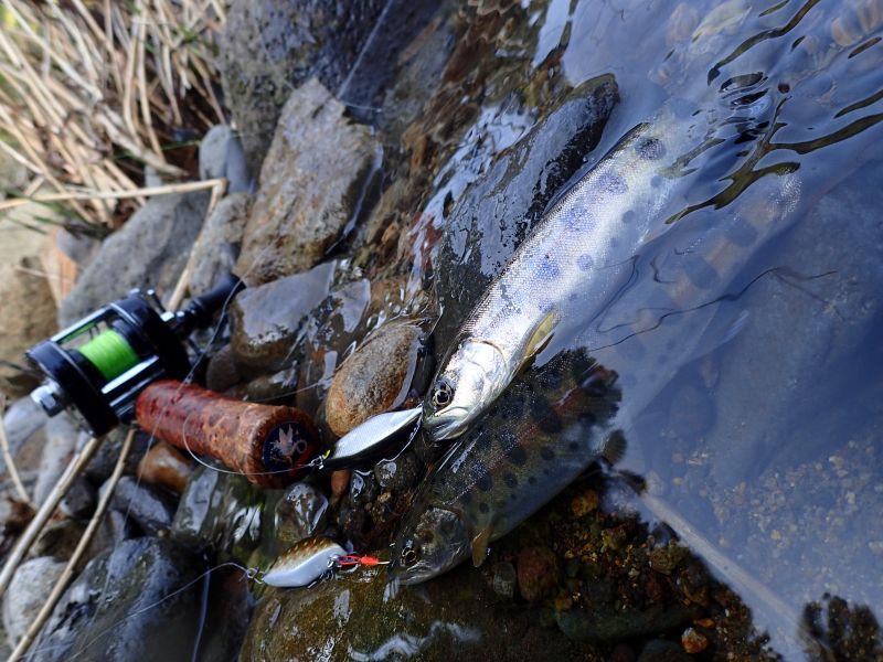 ☆入荷！在庫僅か☆WESSEX ウェセックストラウトロッド／ベイト WSE-C