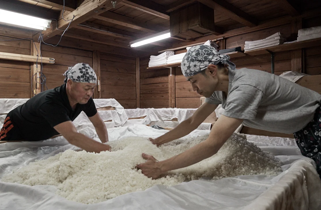 辨天娘,太田酒造場,五百万石