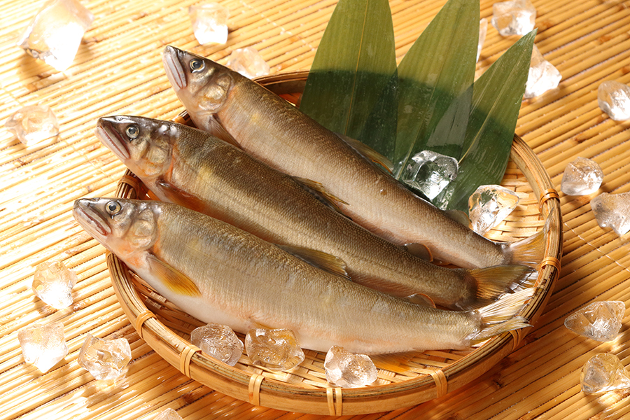 生鮎 | しまね観光ナビ｜島根県公式観光情報サイト