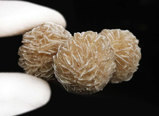 砂を抱き成長したロゼット結晶標本……流通量の少ない米国ニューメキシコ