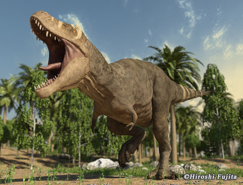 1～3万円の商品の一覧です