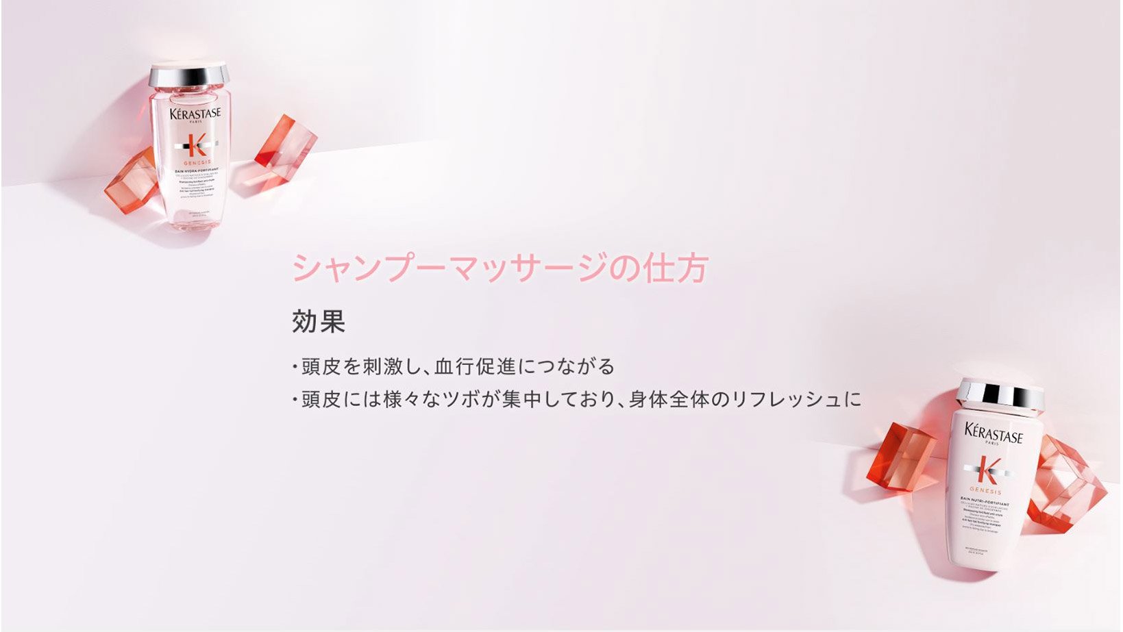 バン ニュートリ フォーティファイ - ジェネシス - 弱った頭皮・髪ケア