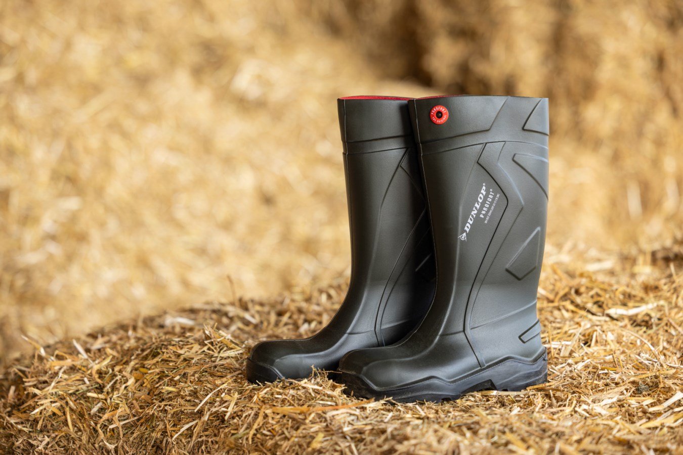 Dunlop® Safety Boot Purofo  - Albert Kerbl GmbH