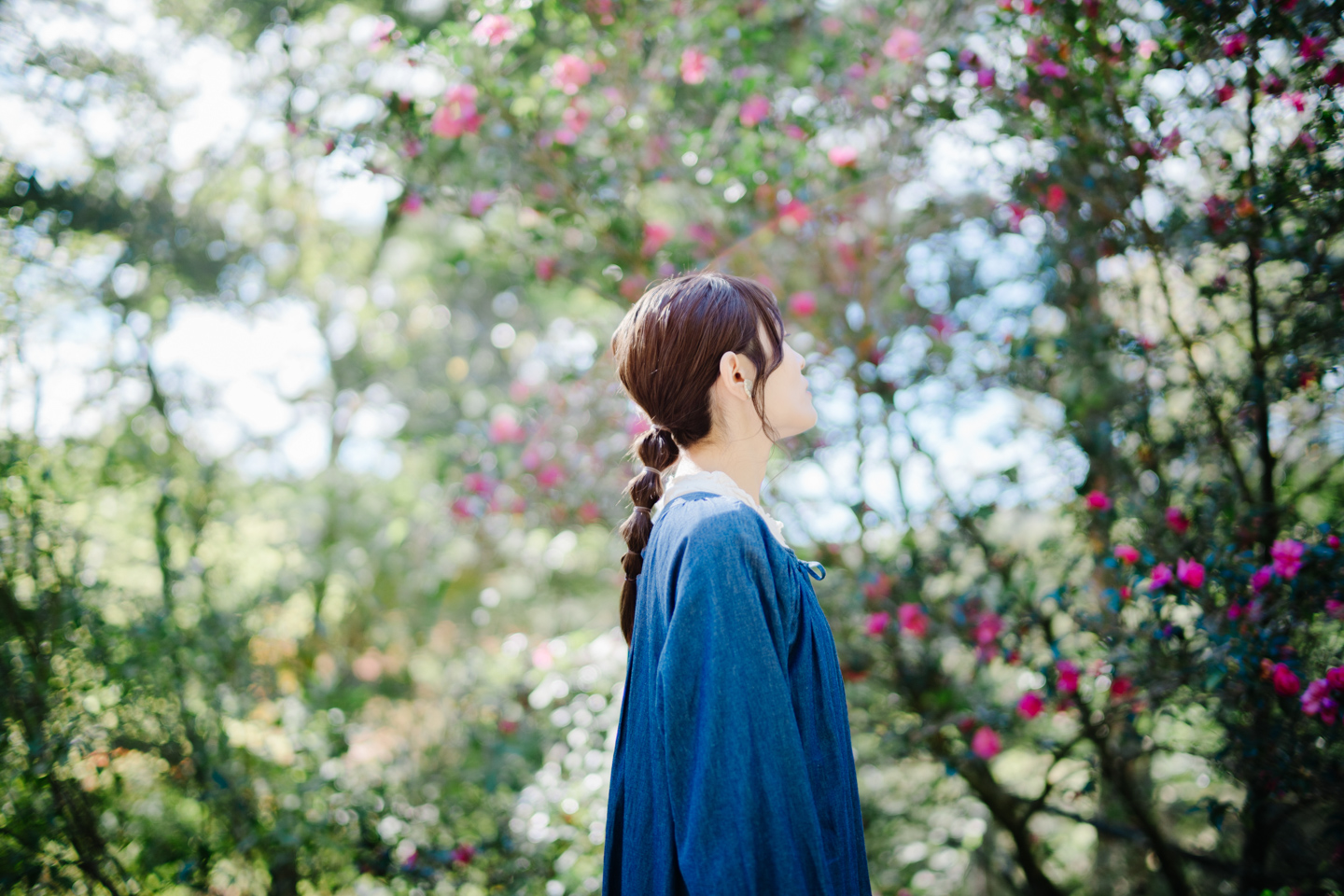 フォクトレンダー NOKTON 40mm F1.2 Aspherical (Zマウント)｜光の表現