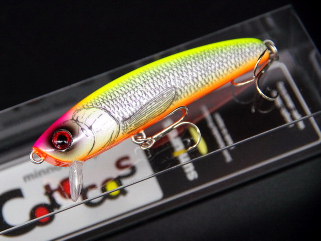 サムルアーズセット コトカス コトカスミディアム cotocas medium