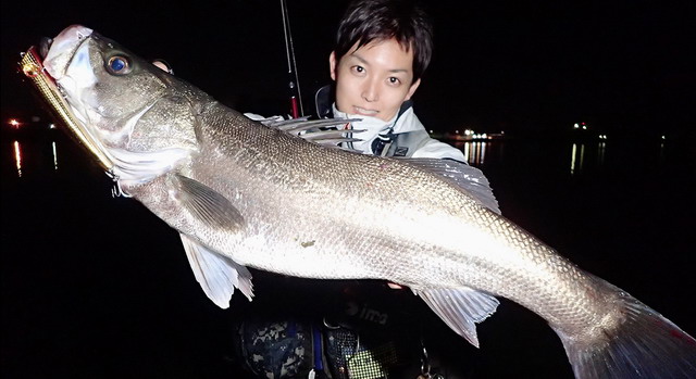 フィッシュマン ブリスト コモド7.5H（BRISTcomodo7.5H） 【シーバス