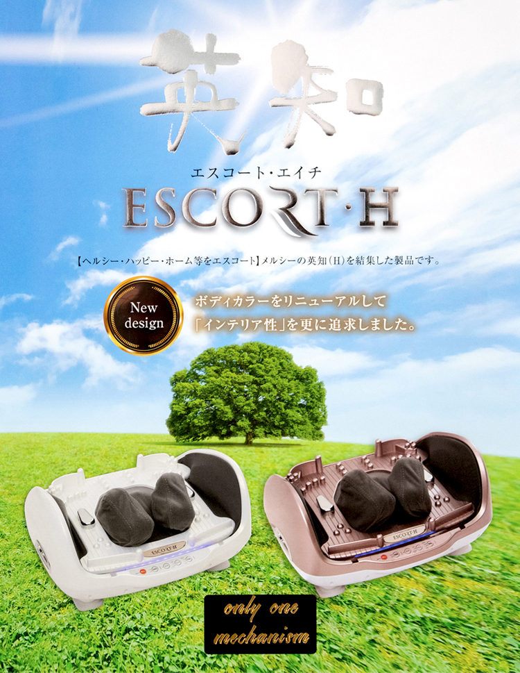 エスコート・エイチ」人間工学に基づいてプログラムされたマッサージ