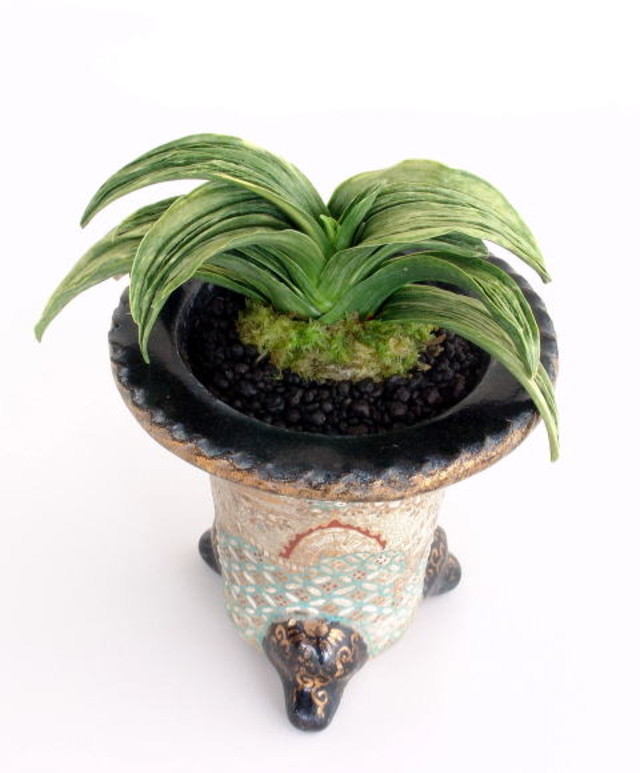 寿岳 (じゅがく) Jugaku – おもとの豊明園（ほうめいえん）