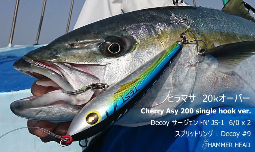 チェリーパイ200SUS キハダ ハンマーヘッド H243 ハンマーヘッド