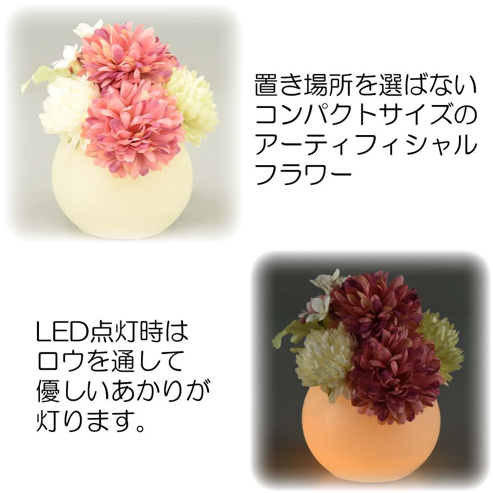 4534552000233b10.jpg?v=1767750386