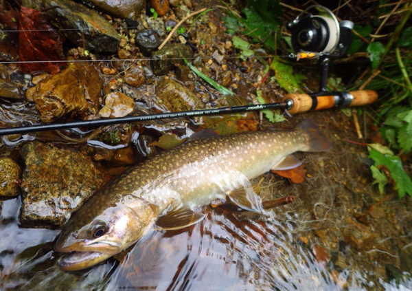 ABU Cardinal/カーディナル カスタムパーツ特集 - リールチューニング