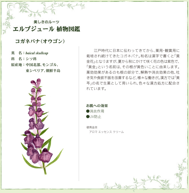 Herbejours 素肌美のためのスキンケア -エルブジュール化粧品 - 植物図鑑