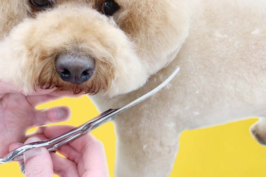 セニング 研磨 研ぎ メンテナンスサービス｜美容ハサミなら飛燕シザー