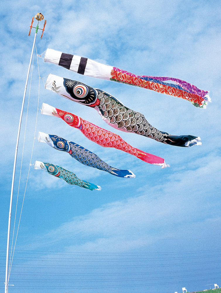 5M金箔鯉のぼり　金太郎　雲龍吹き流し 81xB3jznl1L._AC_UF350,