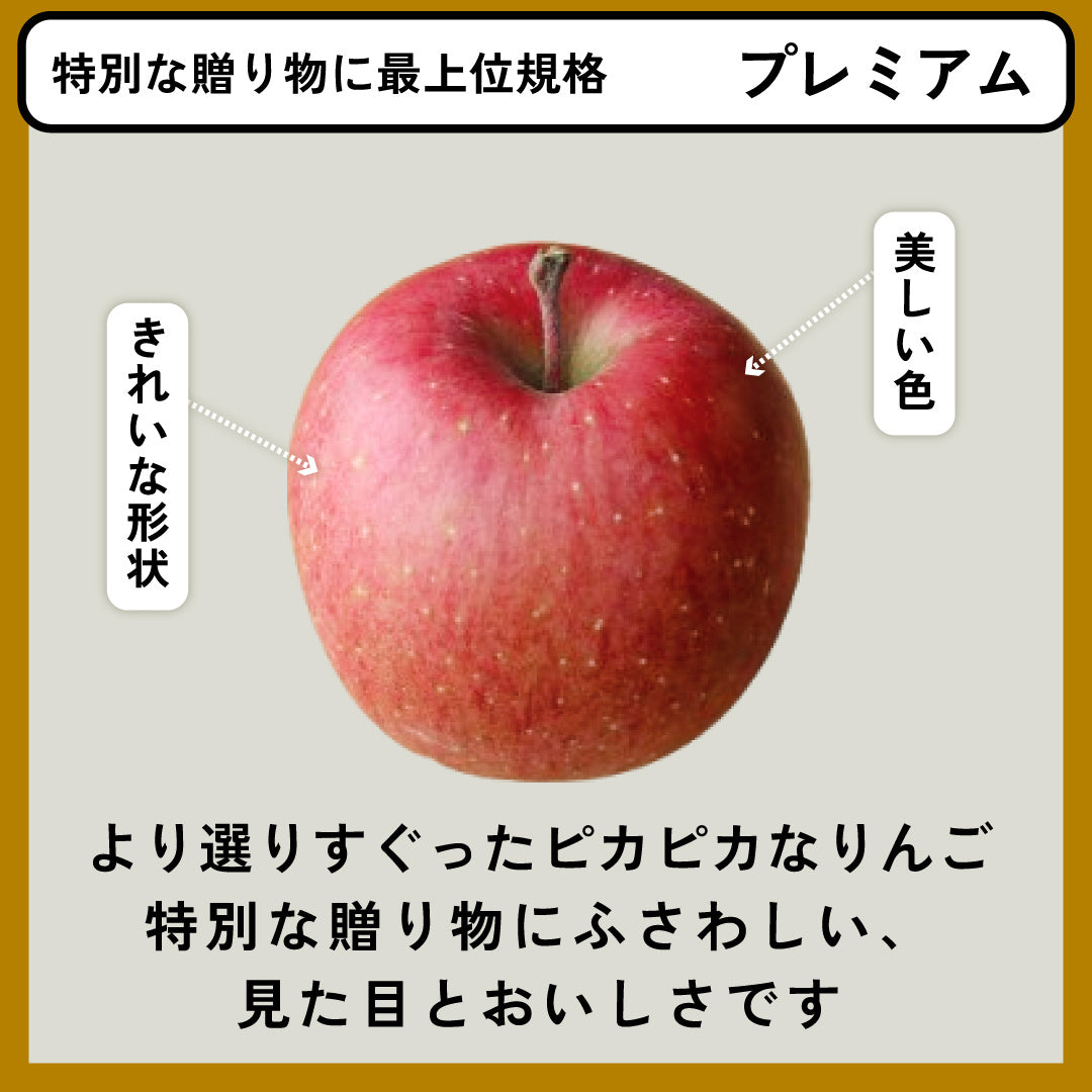 プレミアム3種詰め合わせ（ふじ、王林、ぐんま名月） | 産地直送通販