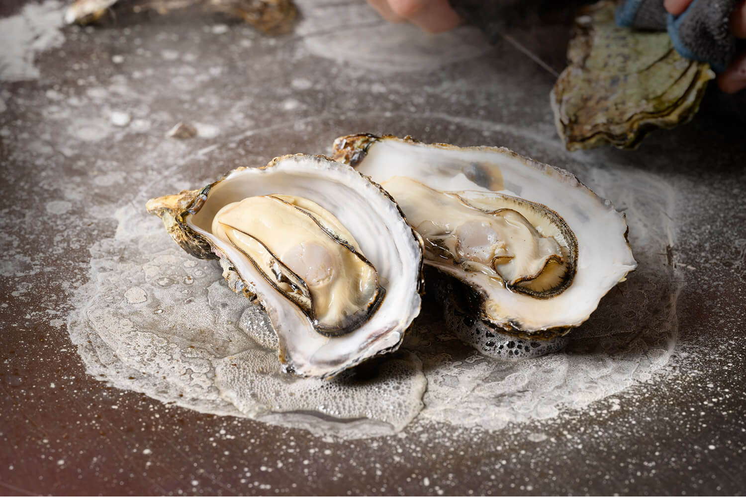 広島駅、エキニシの居酒屋「広島赤焼えん 駅西本店」牡蠣お好み焼きの