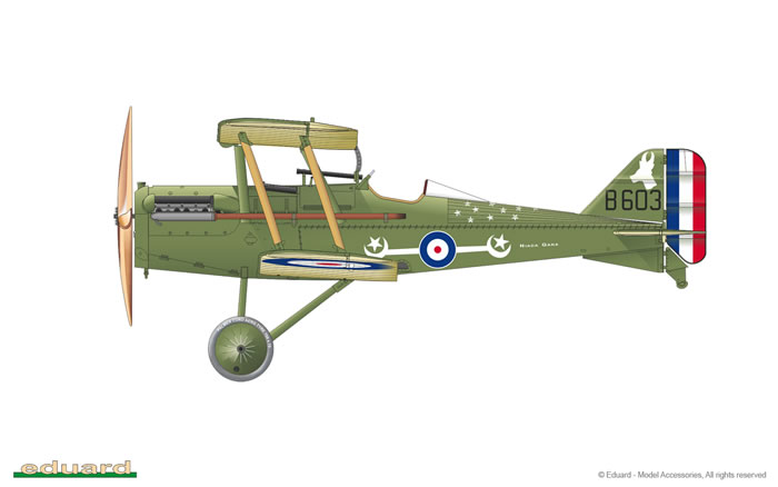 Eduard 1/48 SE5a Royal Class Dual Combo Review by David Wilson