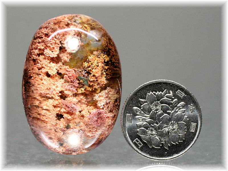 高品質]ピンク&オレンジバイカラーガーデンクォーツルース（ガーデン