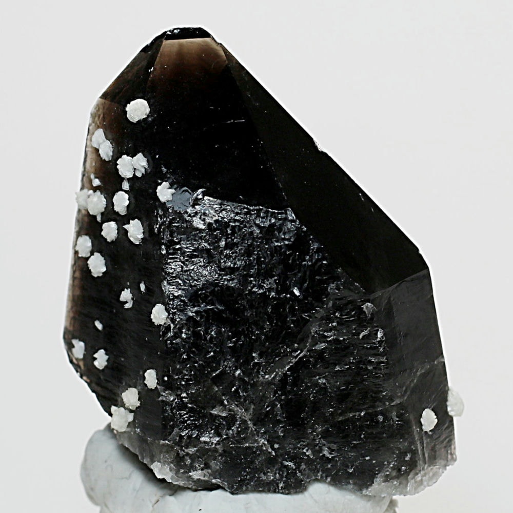 山東省産]フラワーカルサイトオンモリオン原石（天然黒水晶ナチュラル