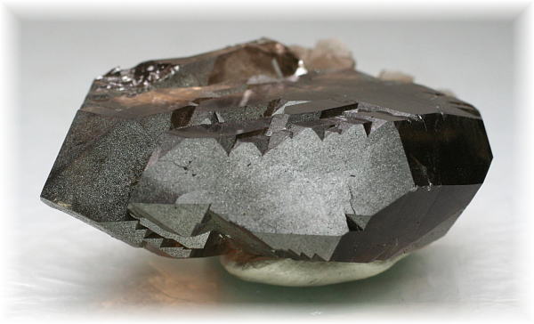 匿名発送】スカルドゥ産スモーキーグインデル 匿名発送】スカルドゥ産