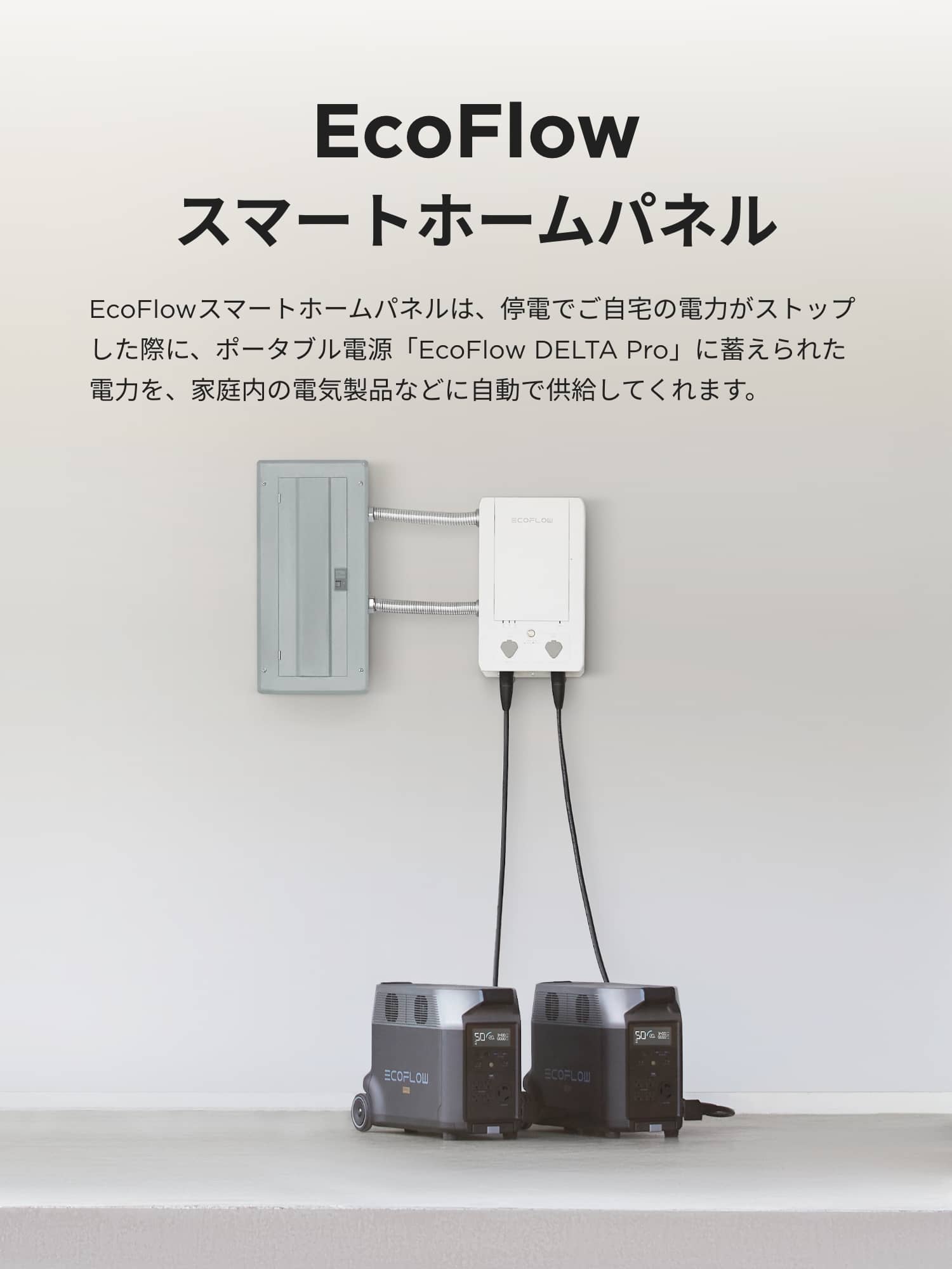 EcoFlow スマートホームパネル / IDA Online
