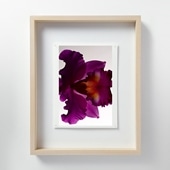 在庫限り】 山口一郎 「HANA-head-gold」｜これまでに販売した商品