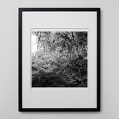 定番品】パブロ・ピカソ 「フクロウ」ブラックフレーム｜ポスター