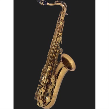 Cannonball 【お取り寄せ商品】テナーサックス キャノンボール T5 アン