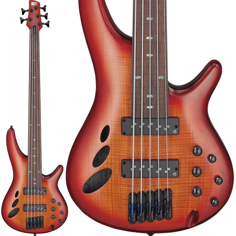 Ibanez Bass Workshop SRD905F-BTL ｜イケベ楽器店オンラインストア