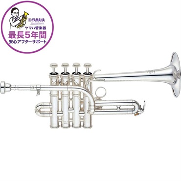 REMO CHORO PANDEIRO / ショーロ・パンデイロ[LREMPD821081113