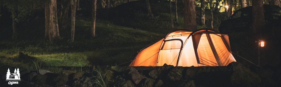 愛麗和有限公司-Twin Pilz Fork T/C