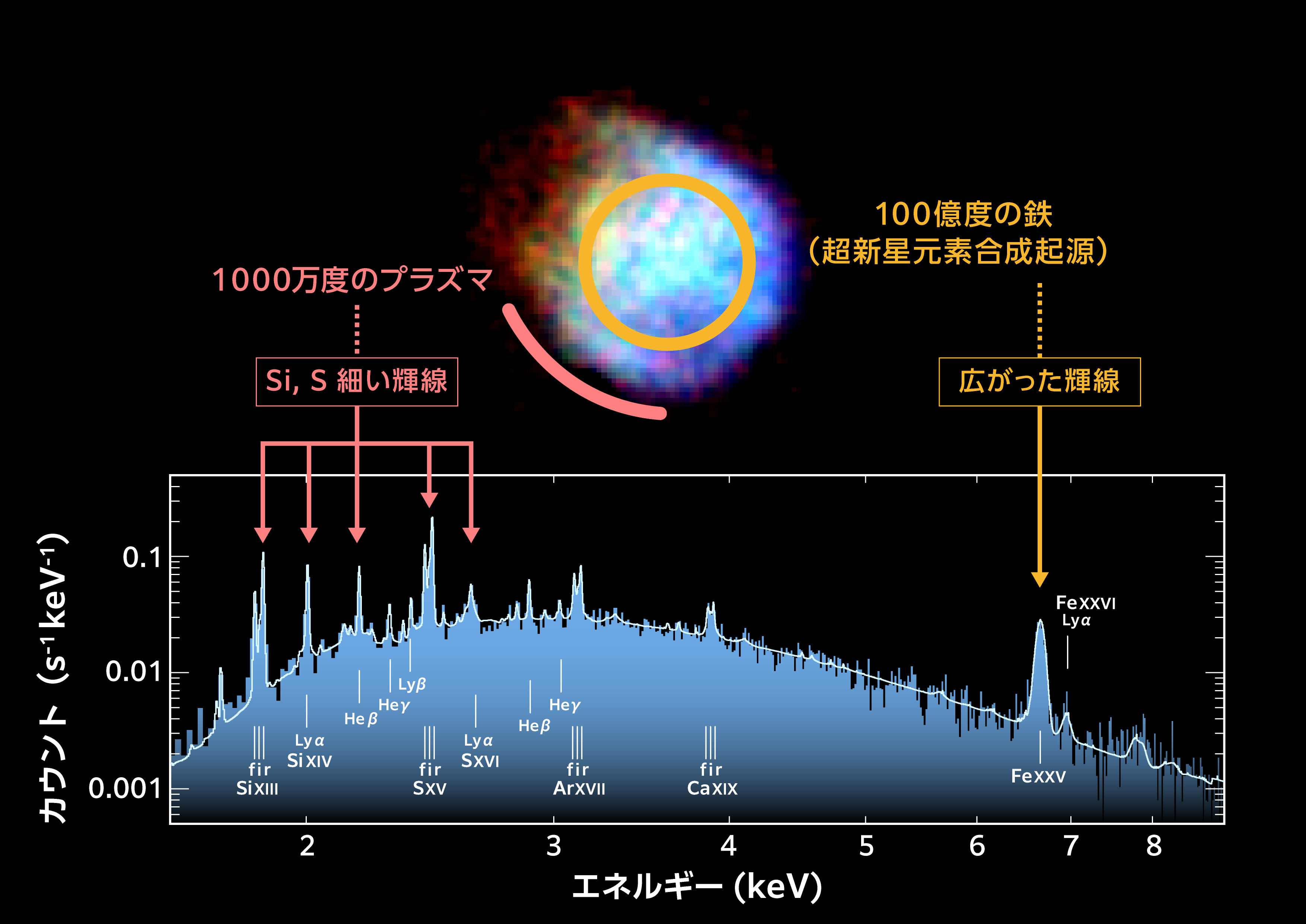 XRISMの初期科学成果： 超新星残骸の超高温プラズマと巨大ブラック