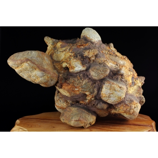 美濃の壺石 4．8kg 天然石販売 名取貴石 天然石原石鉱物結晶