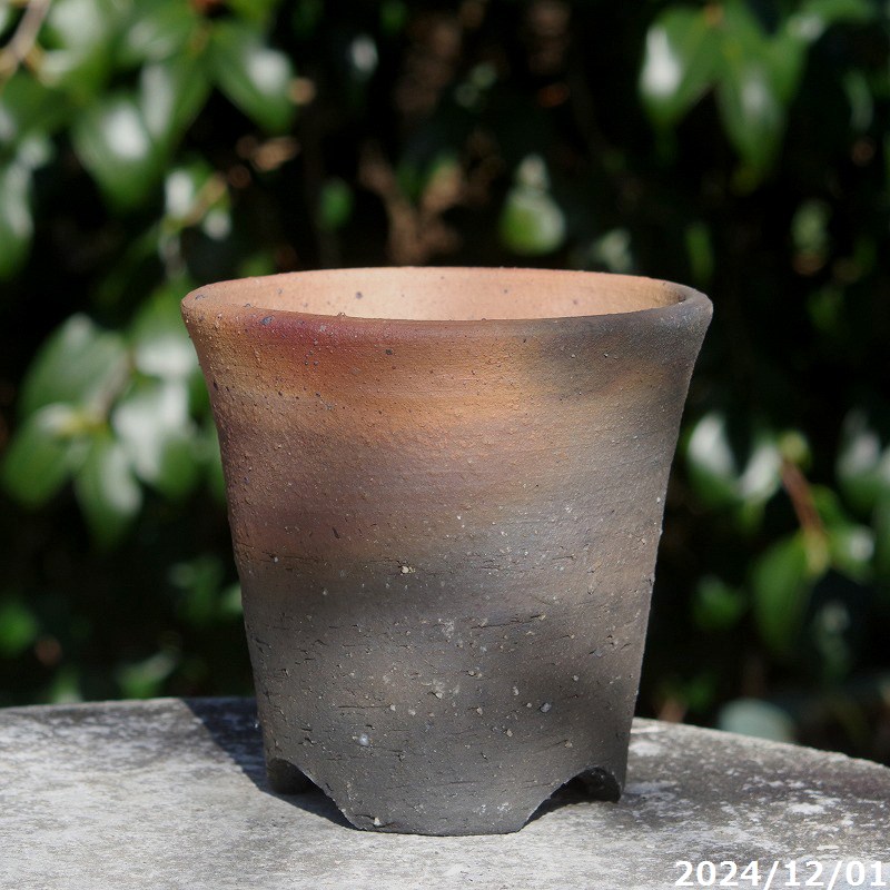 山野草の石田精華園 / 鉢販売