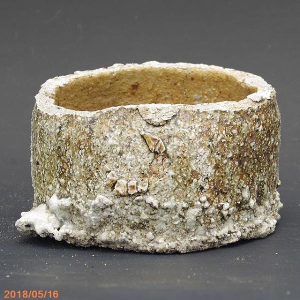 山野草の石田精華園 / 信楽焼 古陶サヤ