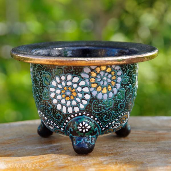 山野草の石田精華園 / 愛楽園